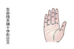 生命线分叉图解知多少