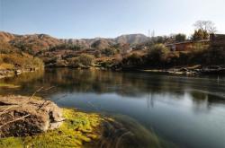 巳时是什么时候