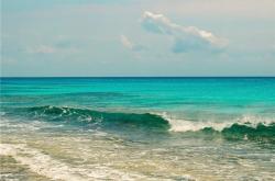 一片明心光皎洁,宛如皎月正天心