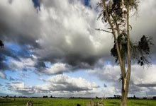 一个人的八字怎么看婚姻 什么八字易出轨