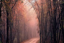 怎么测两个人八字合不合适 八字相合解析